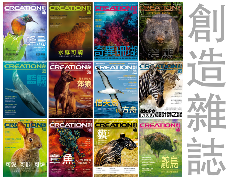 創造雜誌 – 香港創造科學資源事工